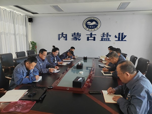 額吉淖爾制鹽有限公司各黨支部分別召開2024年度組織生活會(huì)